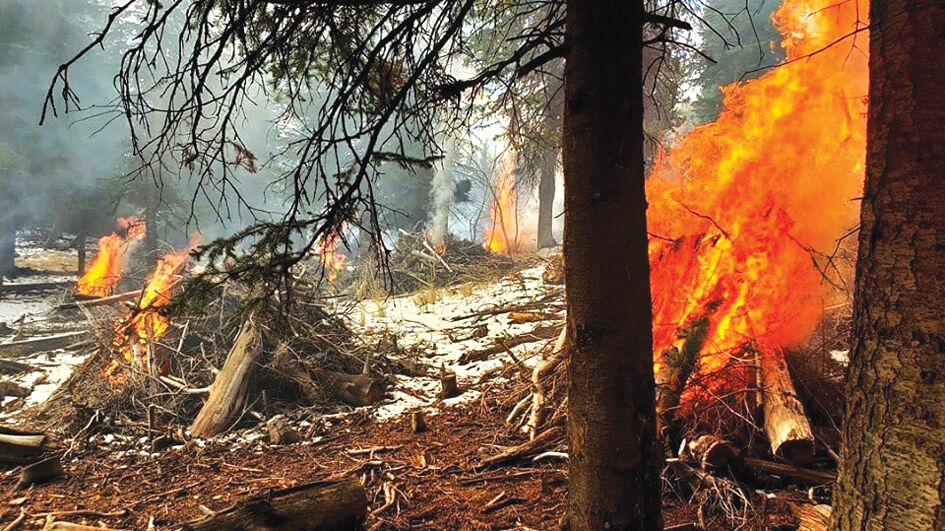 Prescribed Burn
